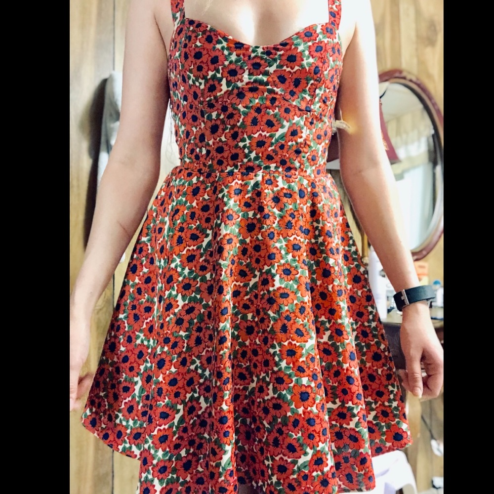 Fit N Flair dress